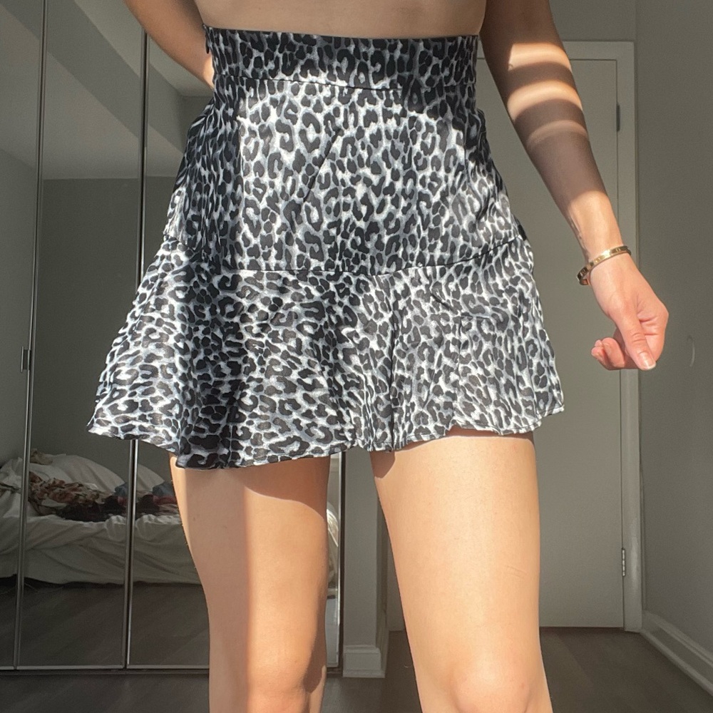Zara skirt/shorts